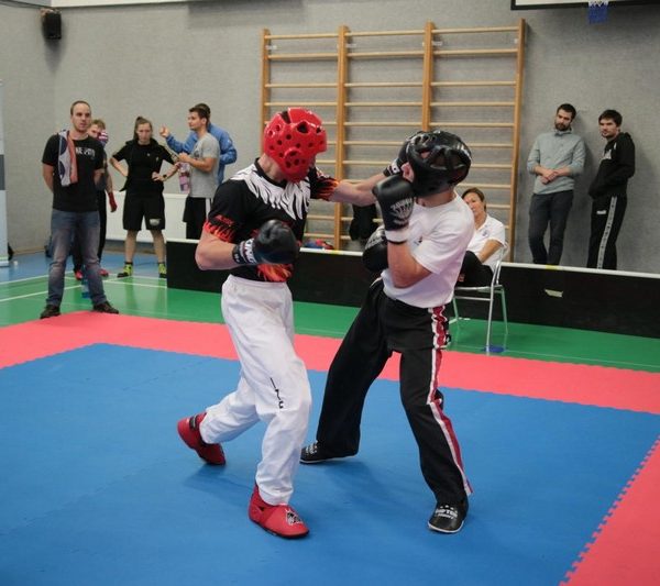 MCR 2018 kickbox (30)
