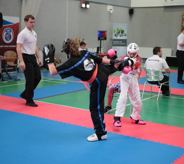 [www bbarena cz][104]MCR2018kickbox20281029