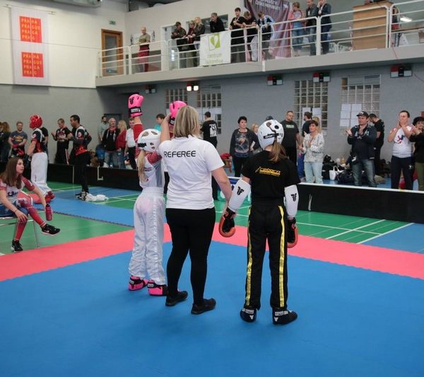 [www bbarena cz][121]MCR2018kickbox20281529