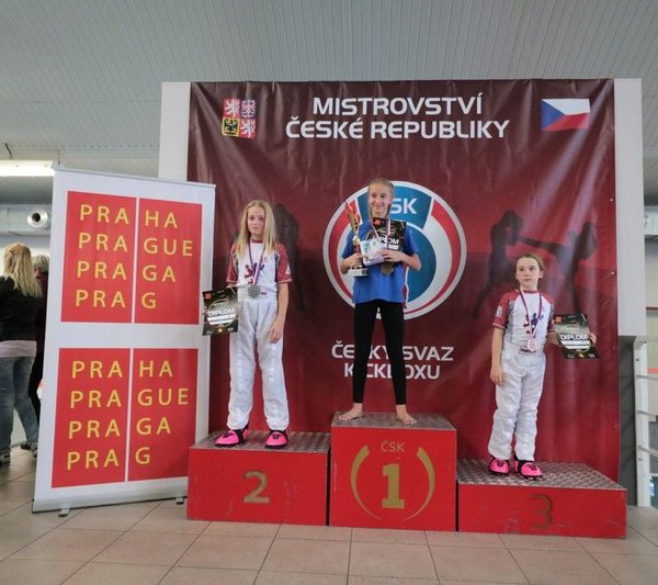 [www bbarena cz][145]MCR2018kickbox20281629