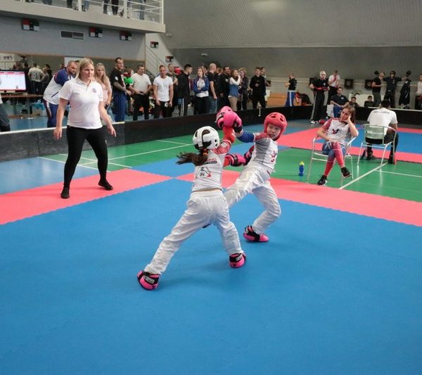 [www bbarena cz][534]MCR2018kickbox2028329