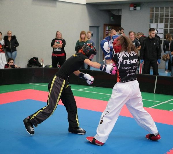[www bbarena cz][575]MCR2018kickbox20281229