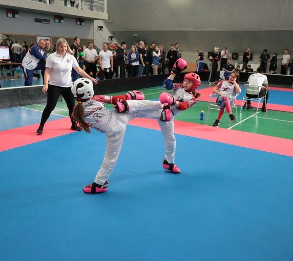 [www bbarena cz][673]MCR2018kickbox2028229