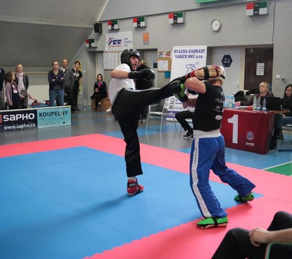 [www bbarena cz][731]MCR2018kickbox2028829