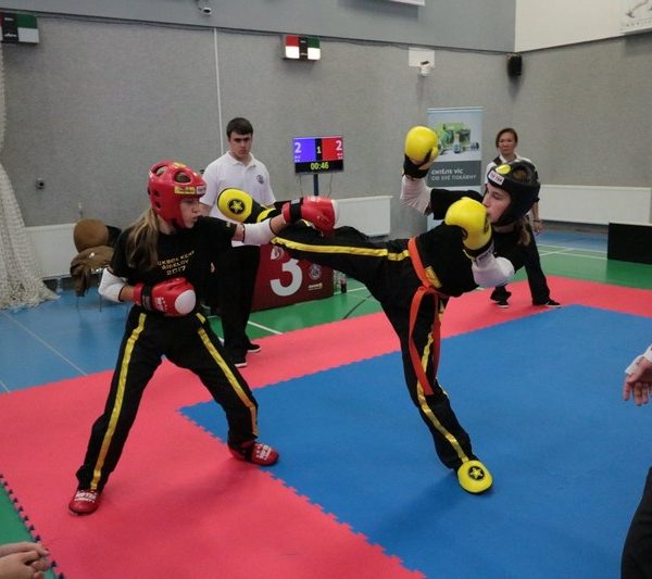 [www bbarena cz][760]MCR2018kickbox2028629