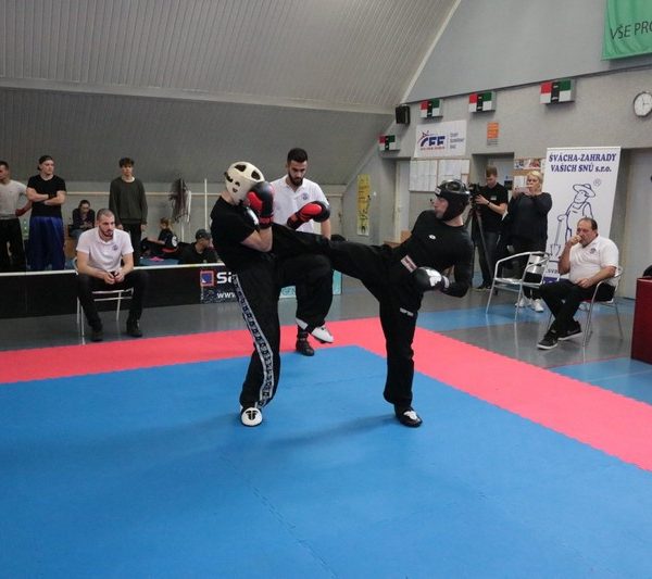 [www bbarena cz][829]MCR2018kickbox2028529