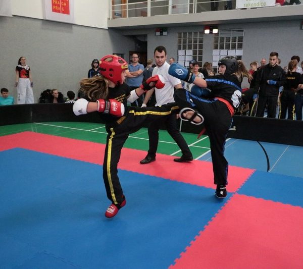 [www bbarena cz][881]MCR2018kickbox2028129