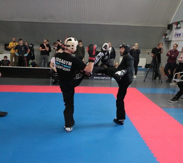[www bbarena cz][921]MCR2018kickbox2028429